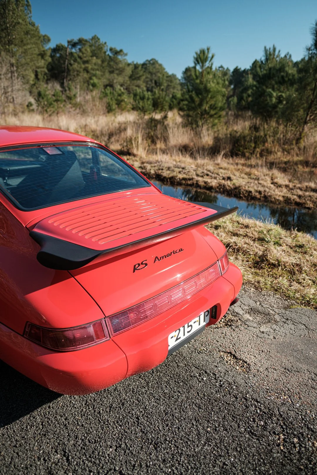 _XT31741.jpg