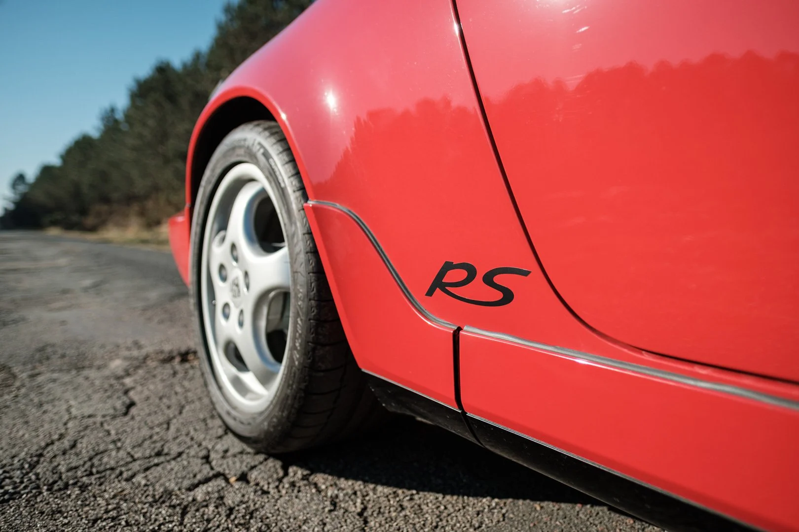 _XT31745.jpg