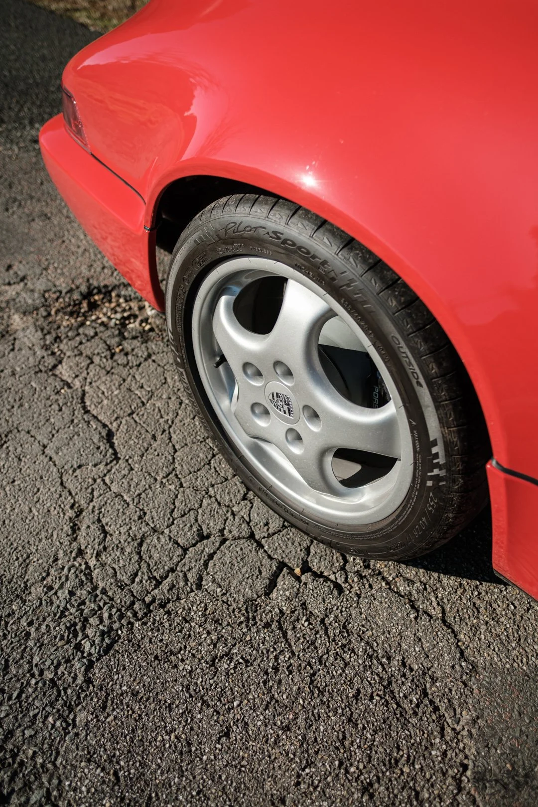 _XT31746.jpg