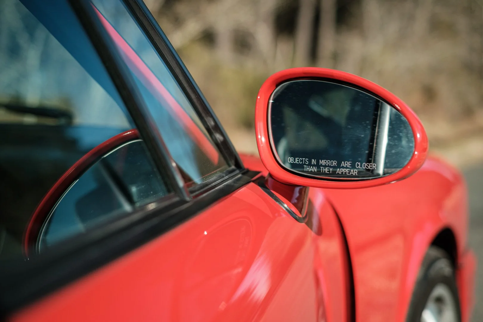 _XT31748.jpg