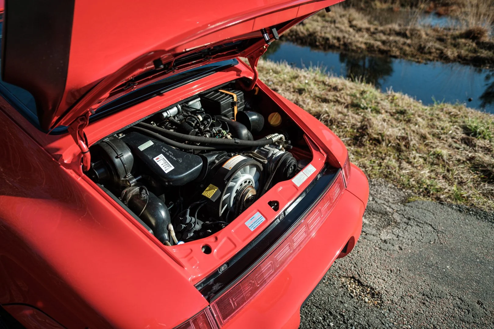 _XT31752.jpg