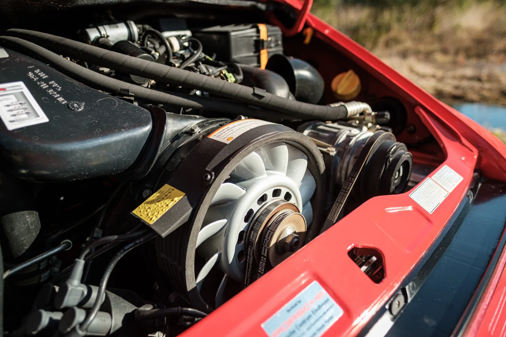 _XT31753.jpg