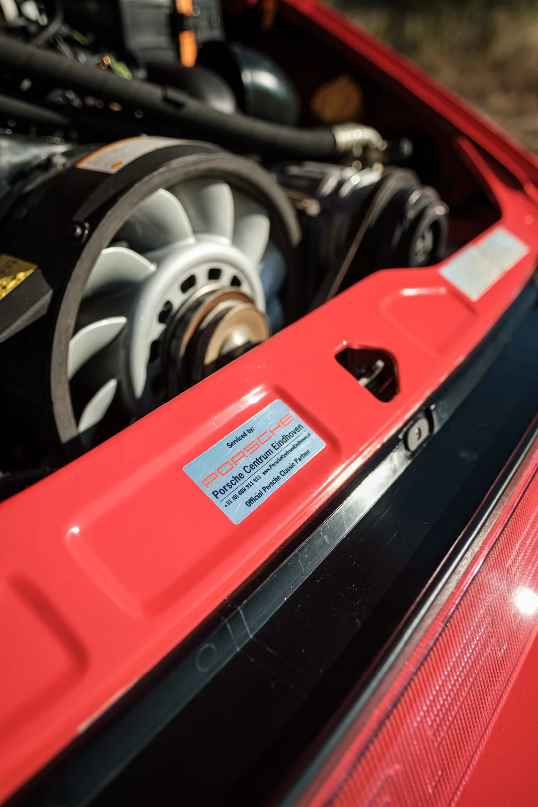 _XT31754.jpg