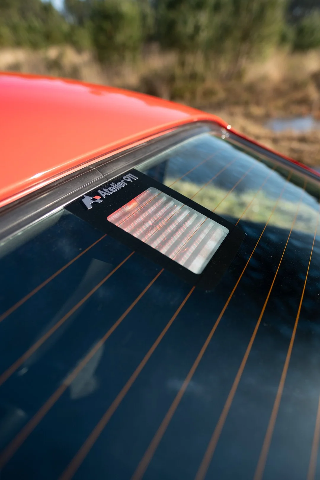_XT31820.jpg