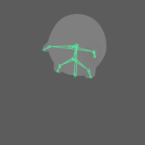 Fig 6 - Belly rotating from the root