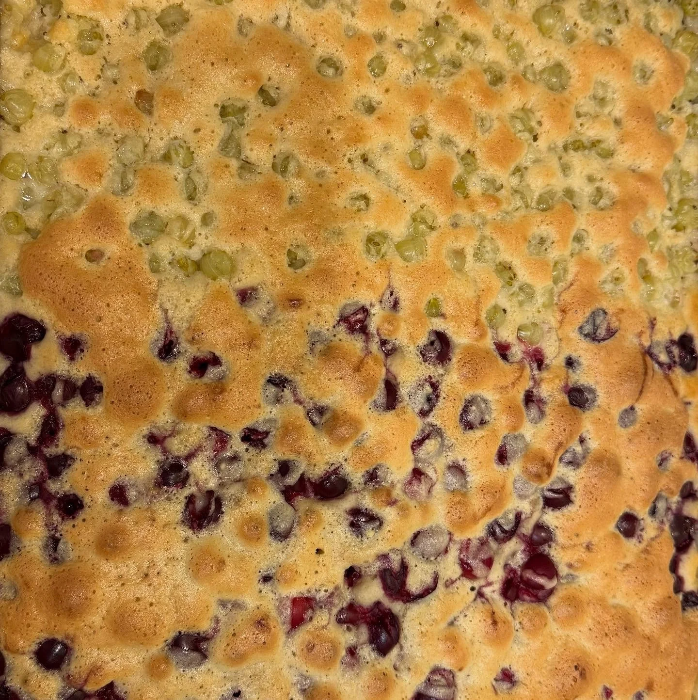 Made the gooseberry #platz #recipe in our @umanitobapress book MMM&hellip;MANITOBA but substituted sour #cherries for gooseberries on half of it. Grateful for local fruit in season, and for the generous reception of our book. 
#LocalFood #OralHistory
