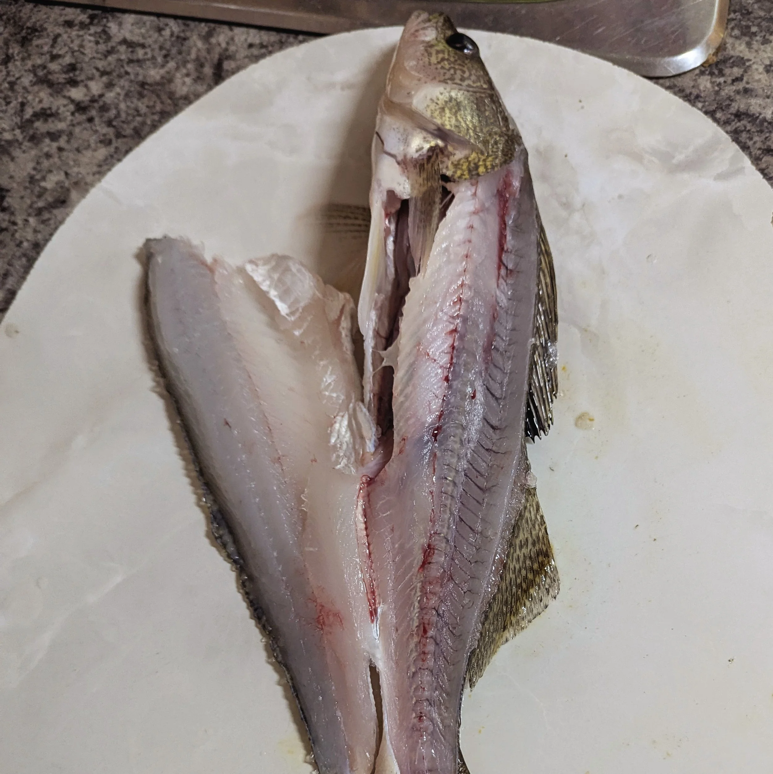 fish in the process of being filleted