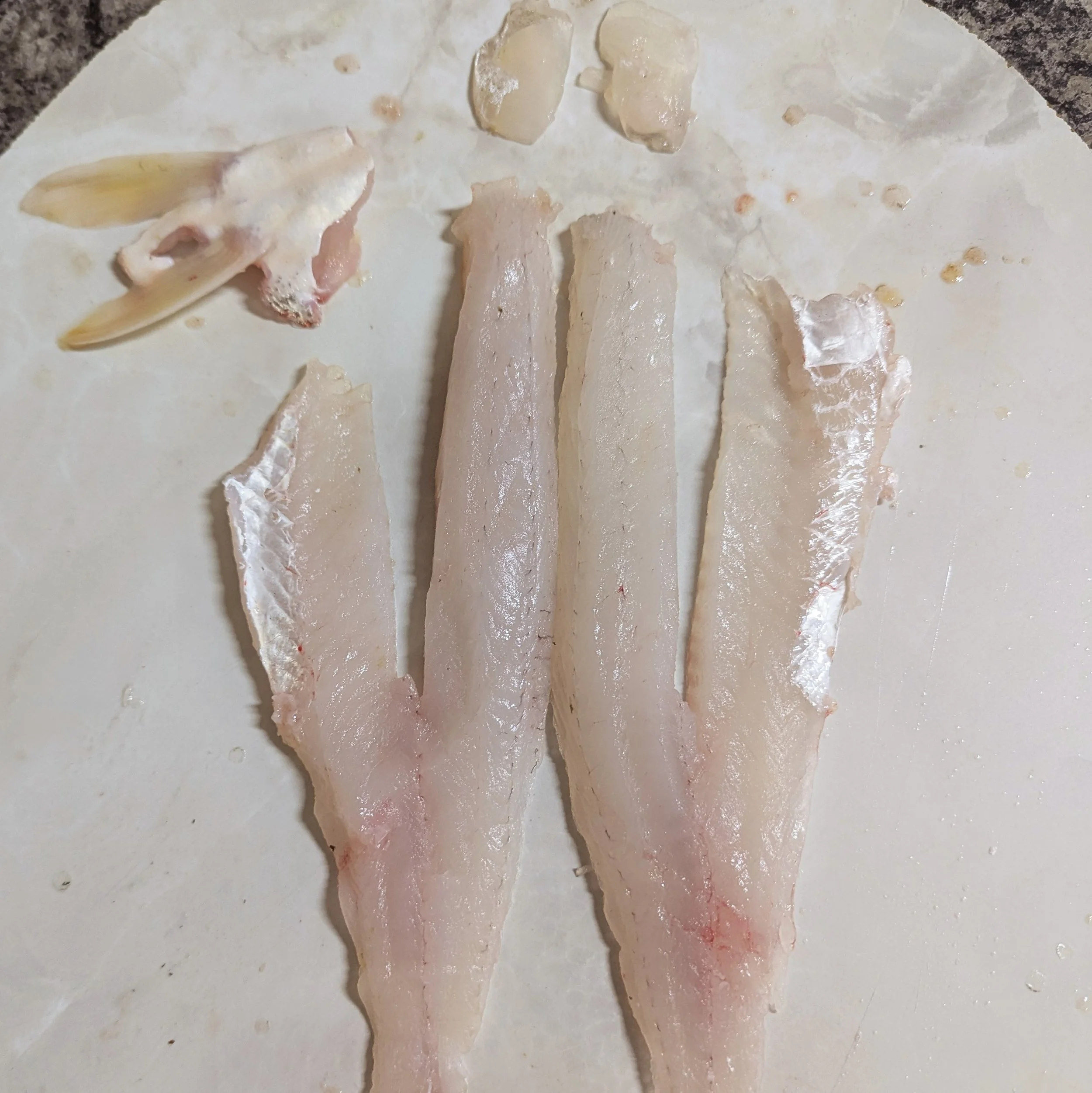 a filleted fish