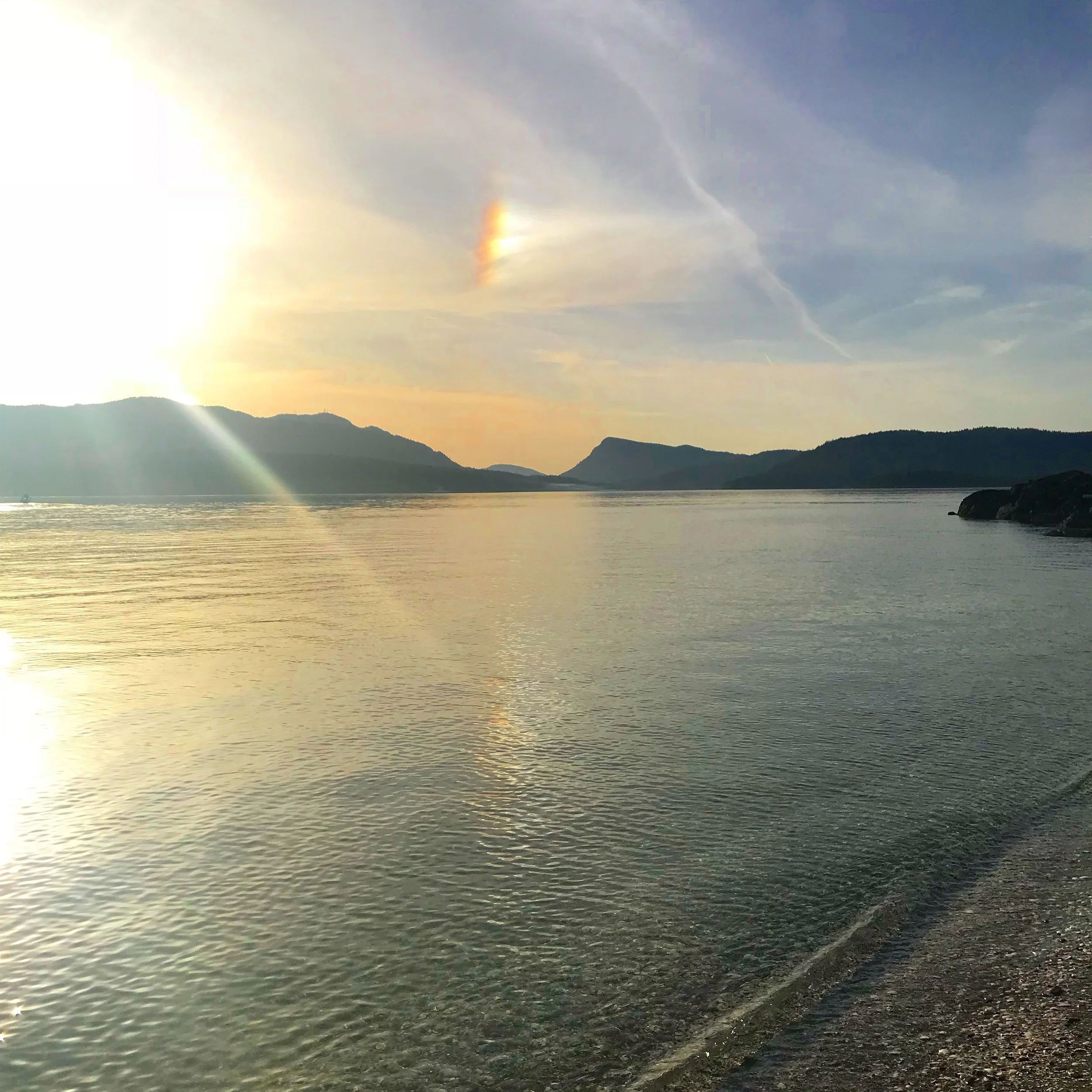 Portland Island 2018