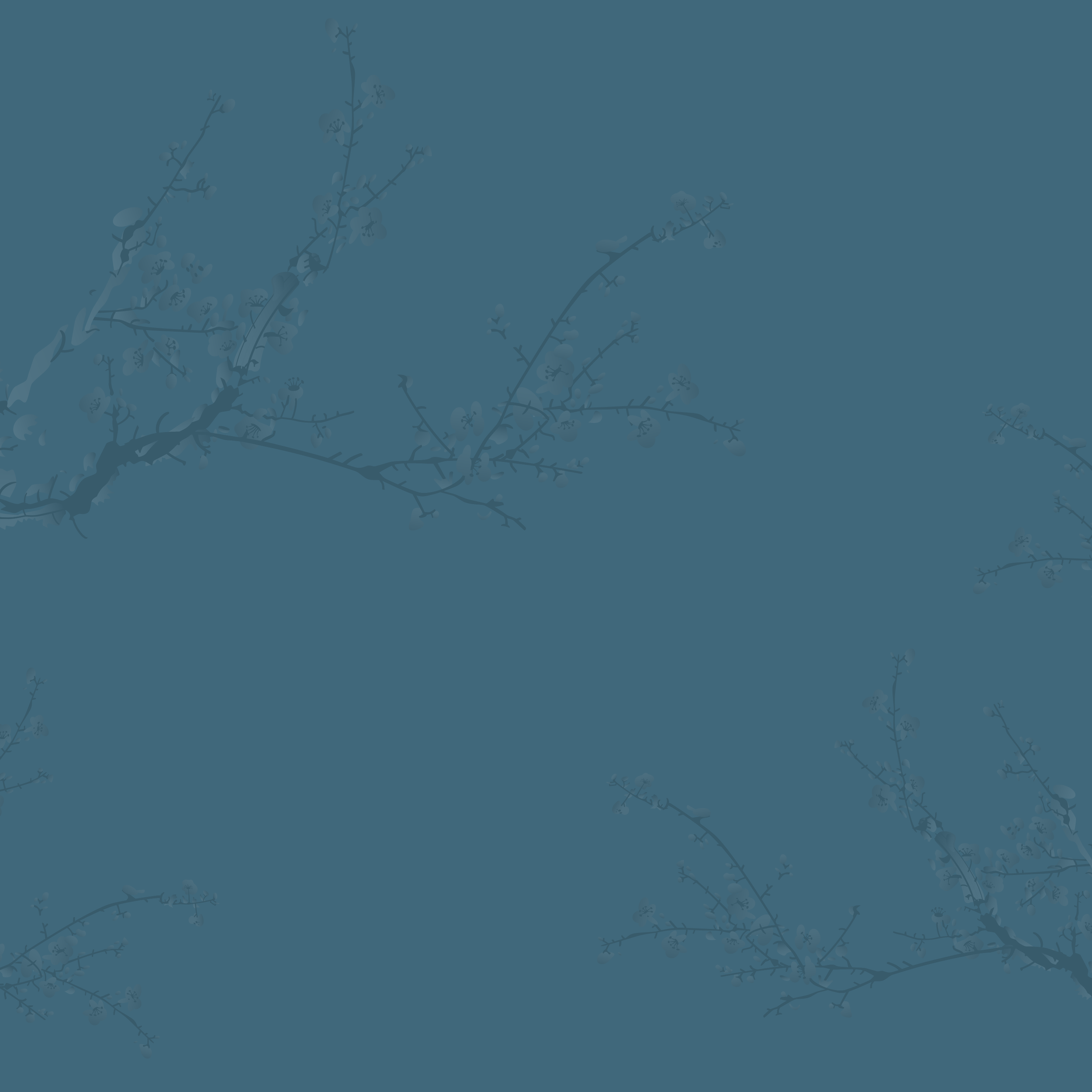 Zengo-BG.png