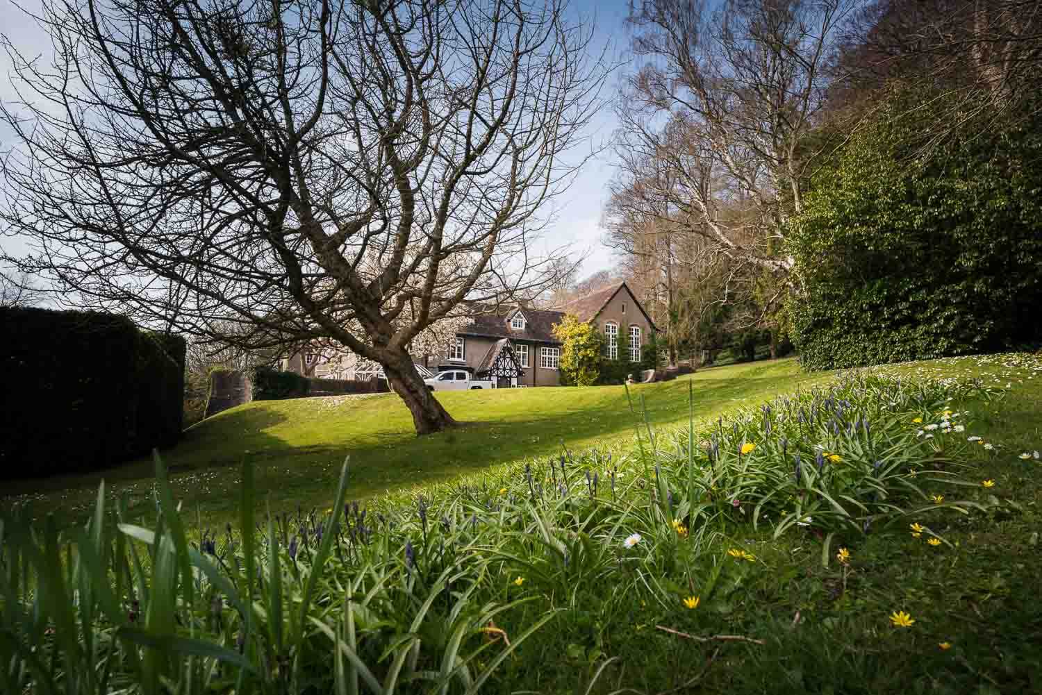 Barley Wood, Somerset Wedding Photography, Spring Flowers