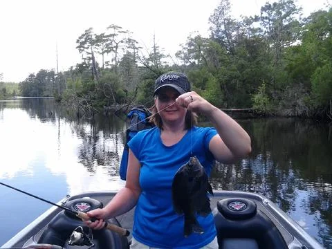 480_Angie_s_Big_Bream.jpg