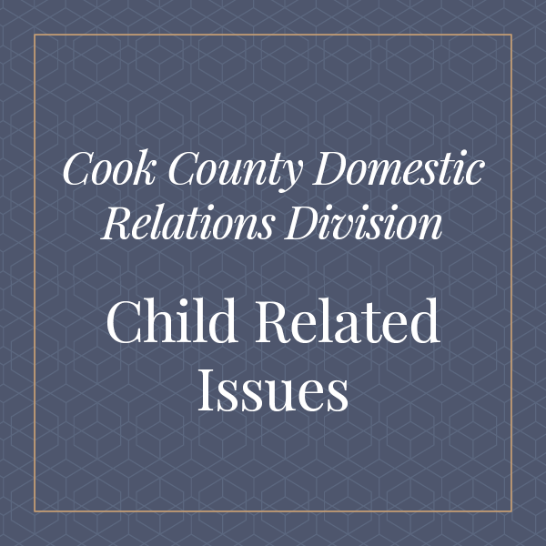 Cook County Domestic relations division child related issues
