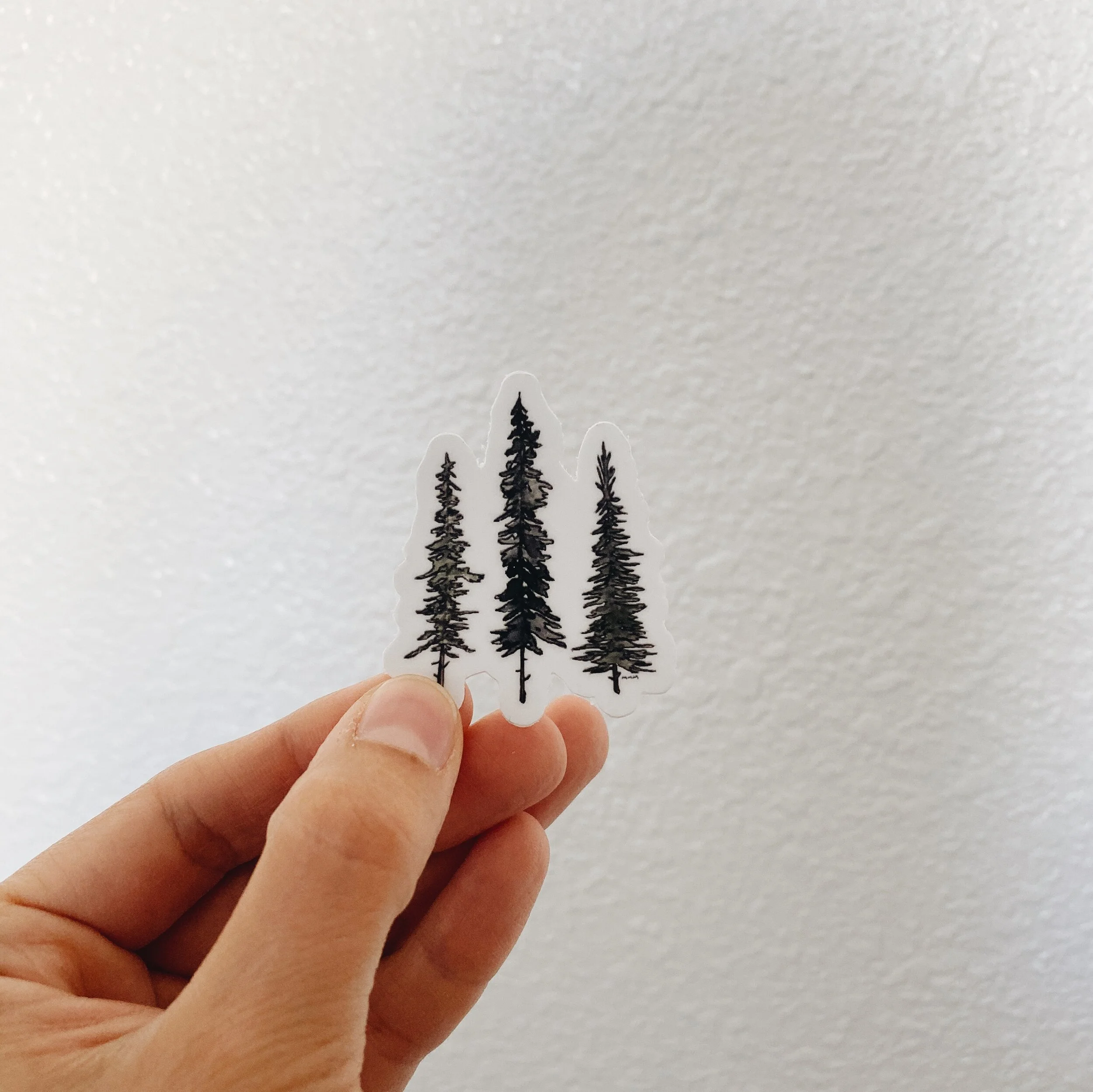 35A4EC4D-8FE3-4BDD-98B8-16818468C0D4 2.JPG