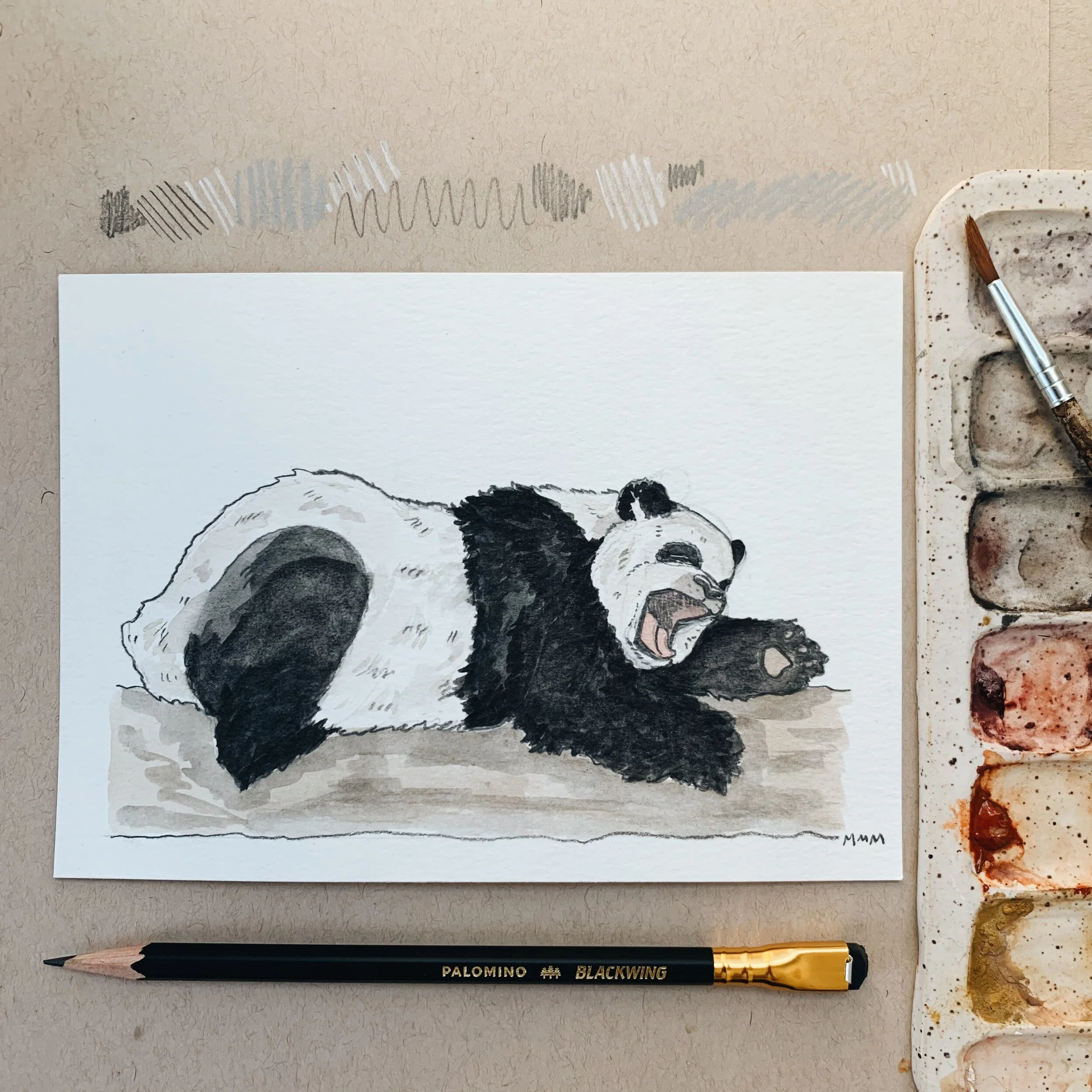 Yawning Giant Panda 