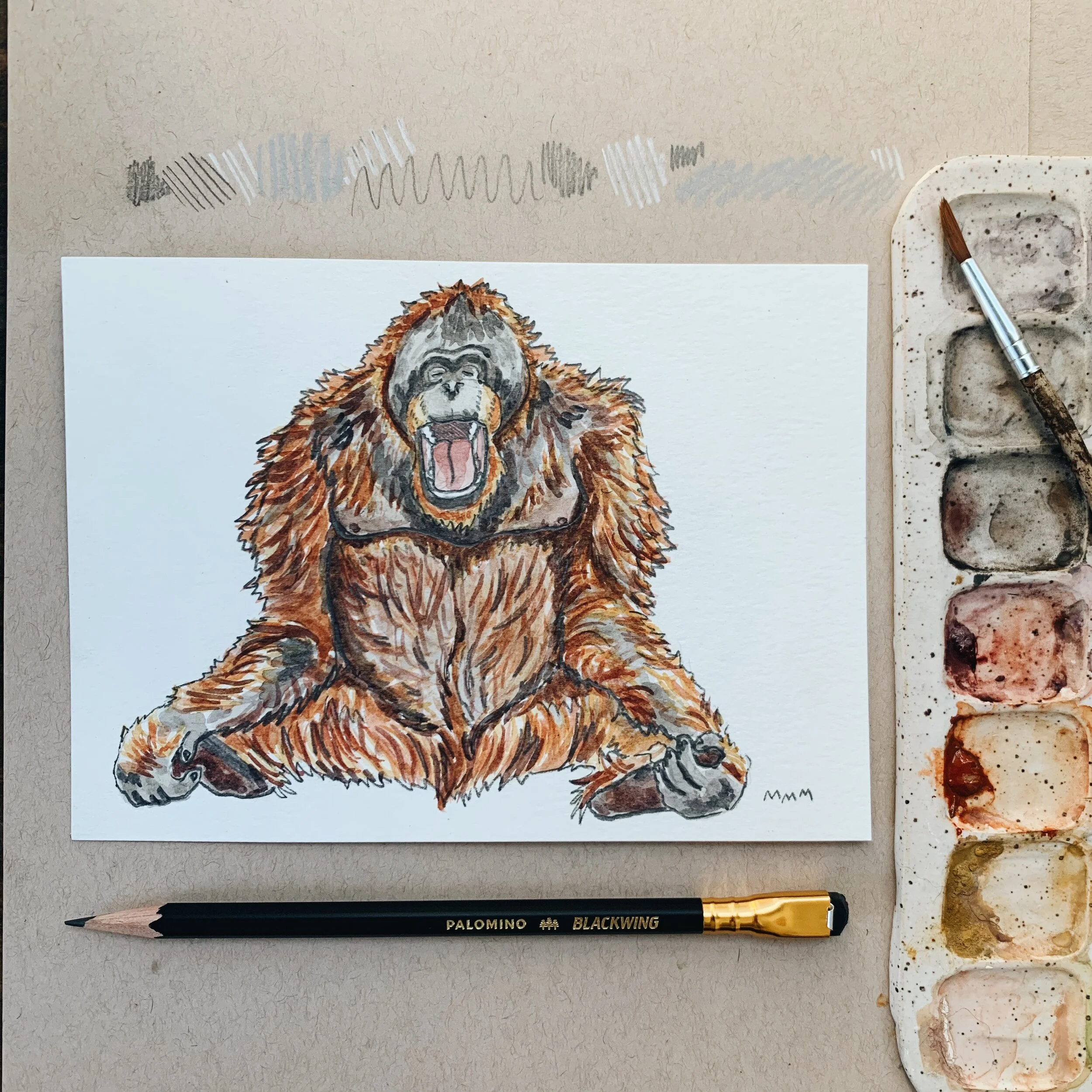 Yawning Orangutan Study