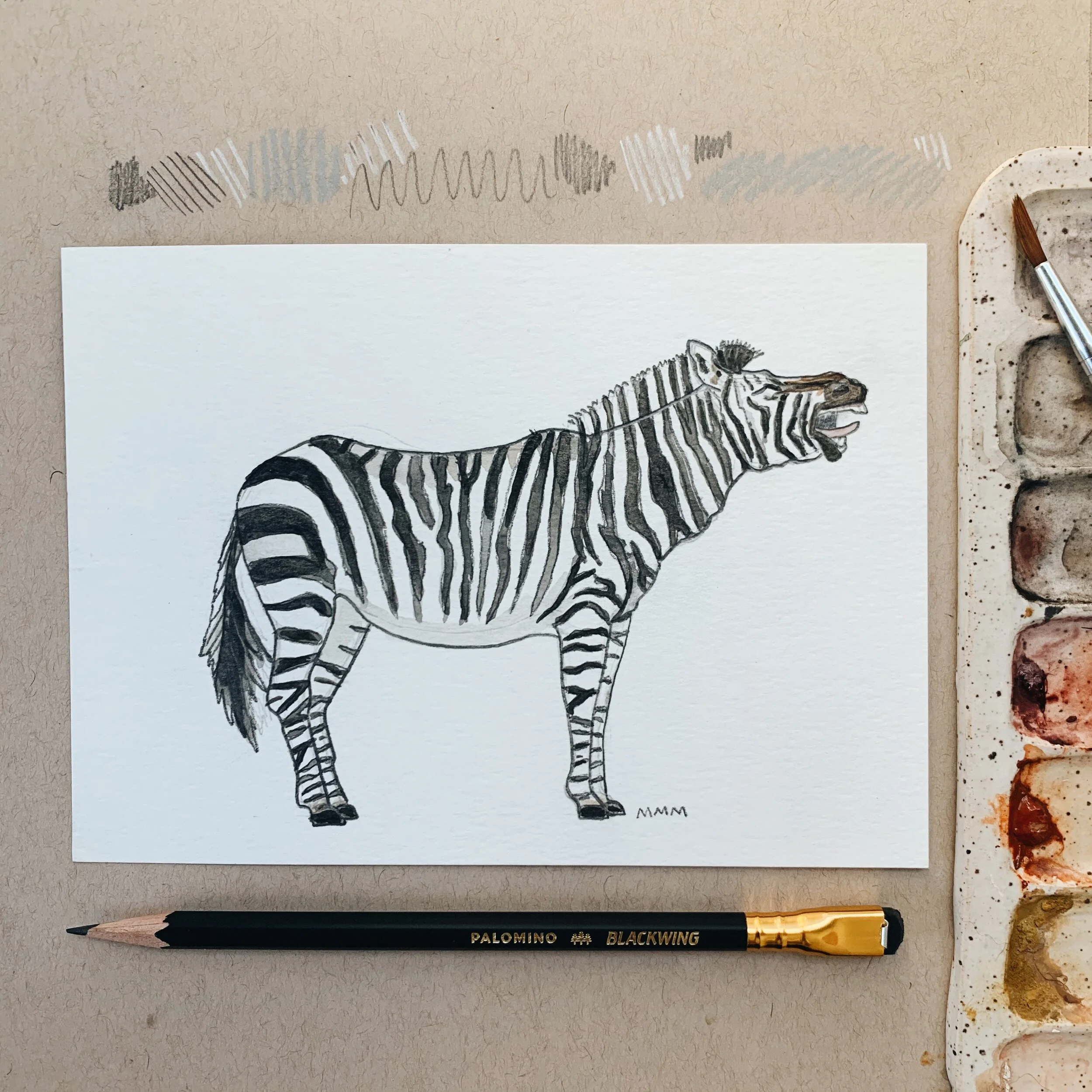 Yawning Zebra Study