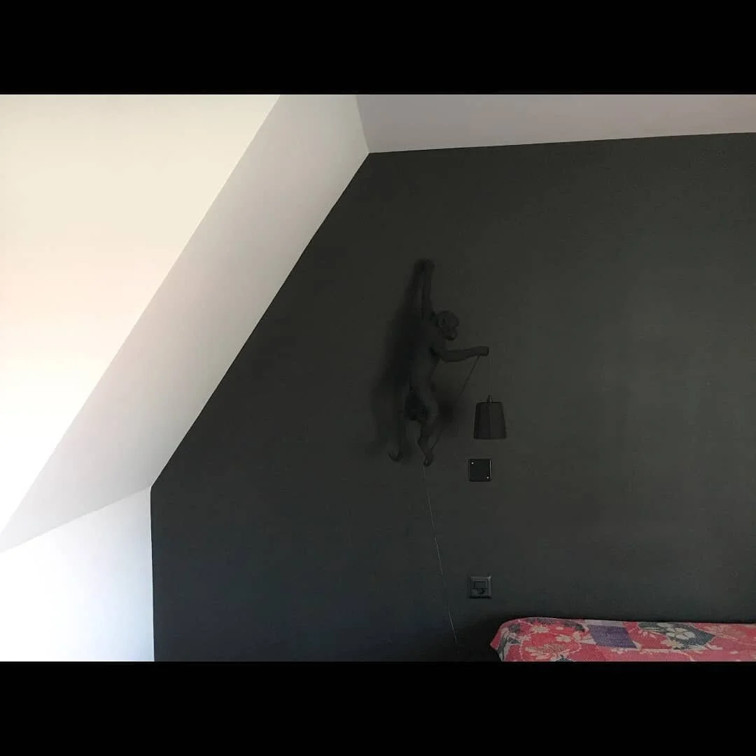 #rupperswil#anthrazit#farrowandball#schlafzimmer#affenlampen#malwasanderes#