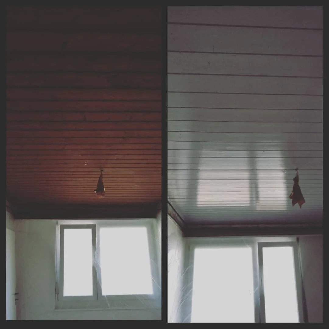 niederlenz#t&auml;fer#ausaltwirdneu#sch&ouml;nerwohnen#ruco#wiederwieneu#kleinbetrieb#