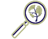 identify.png