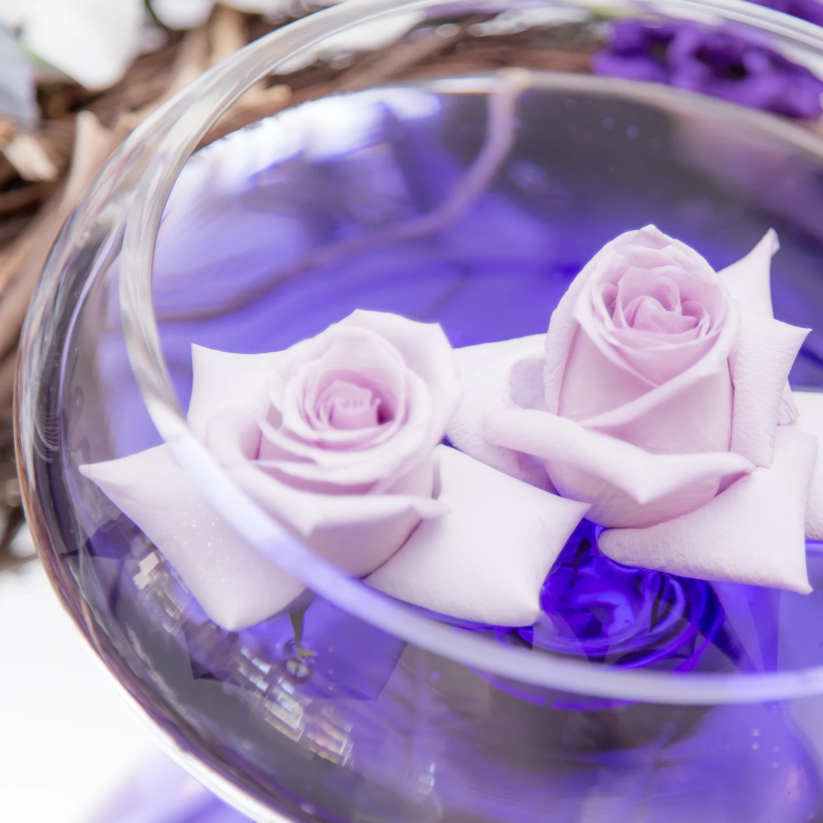 AdobeStock_105482029.jpeg