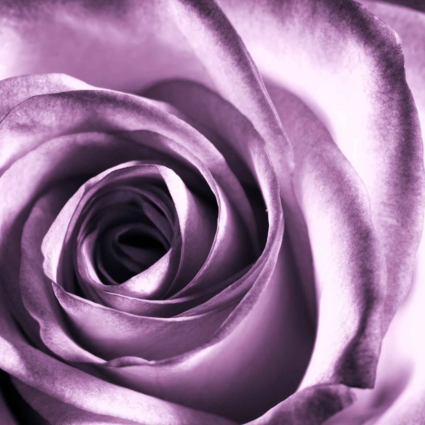 AdobeStock_11865044.jpeg