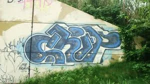 images-8.jpeg