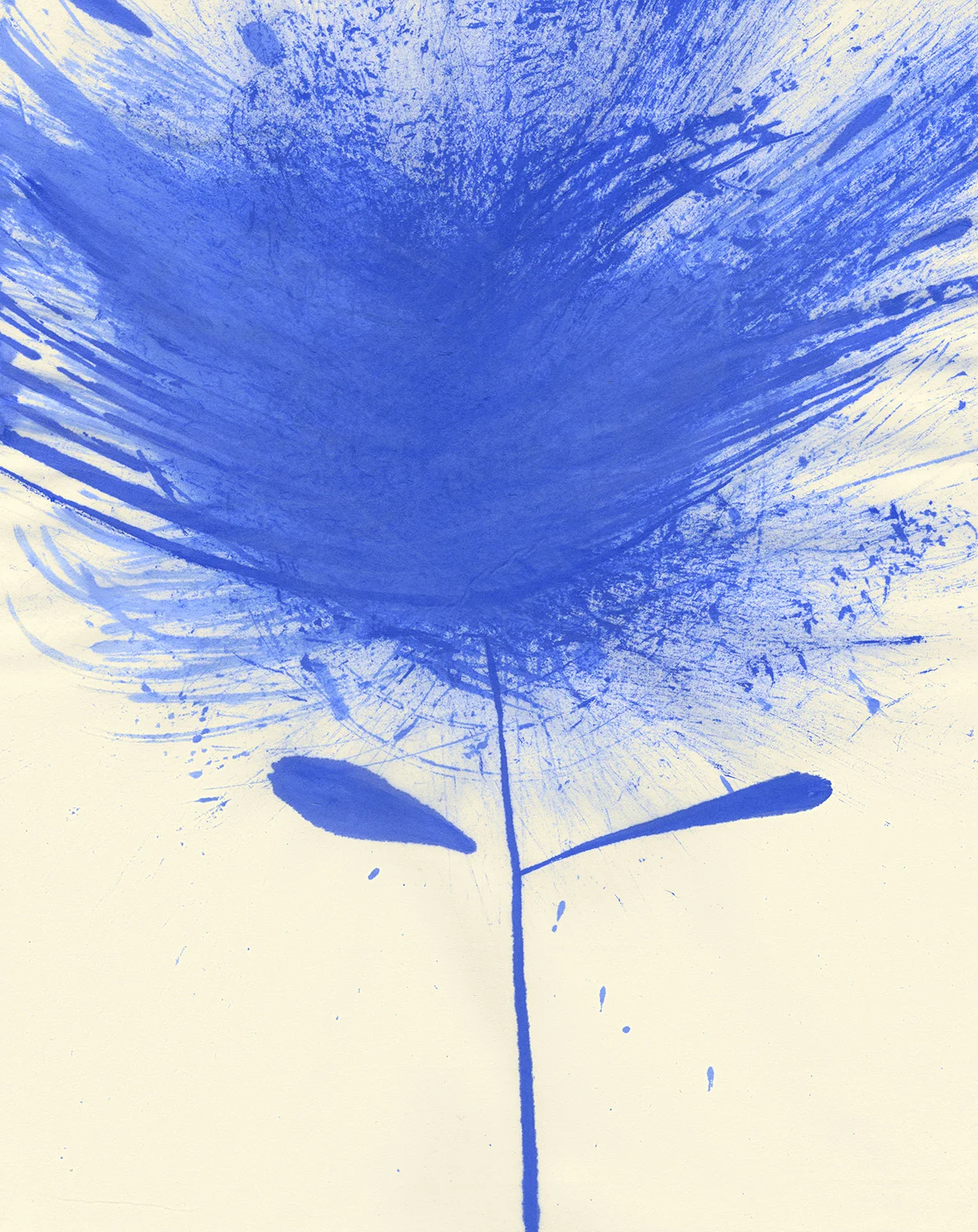 Blue Flower IPigment on paper
