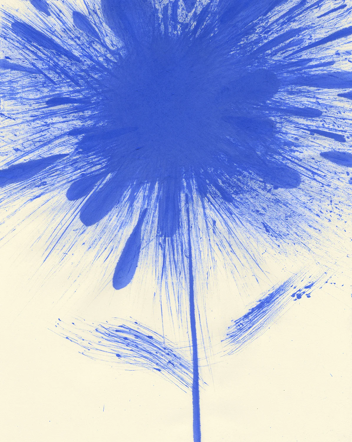 Blue Flower IIPigment on paper