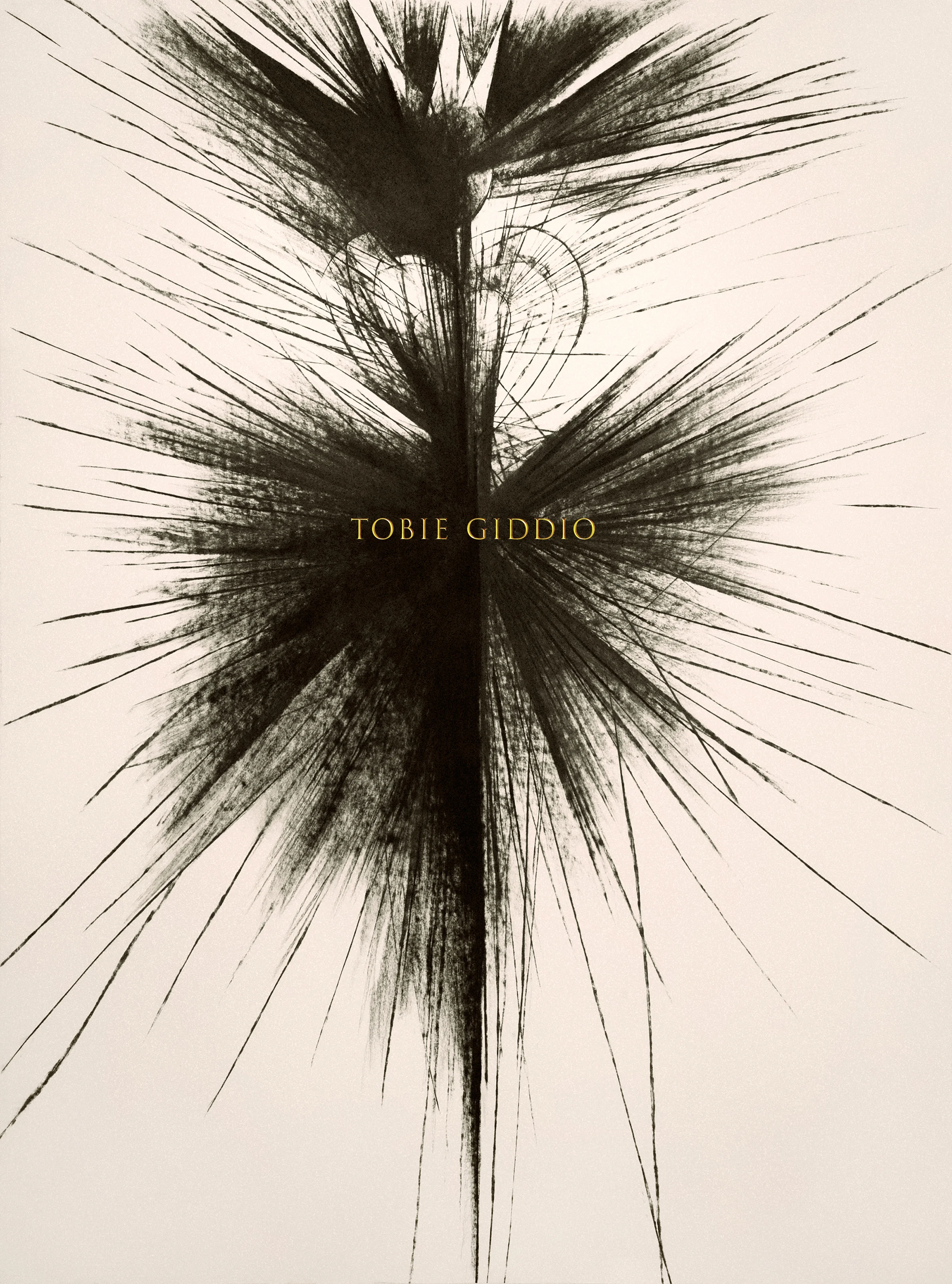 Tobie Giddio_Phenomena_Charcoal_Cover page_2.jpg