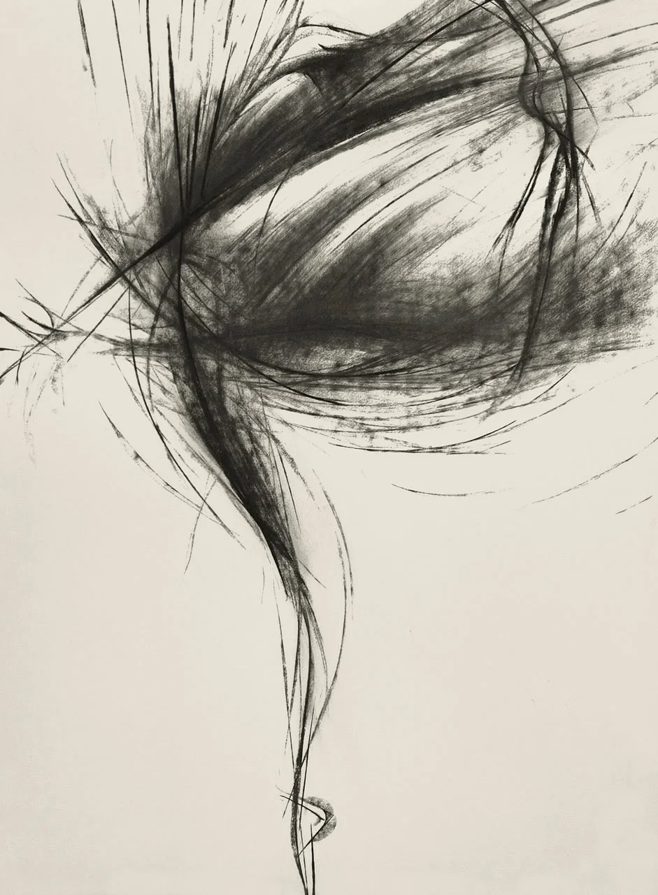 Tobie Giddio_Lauren Lovette_Ballet_charcoal drawing.jpg