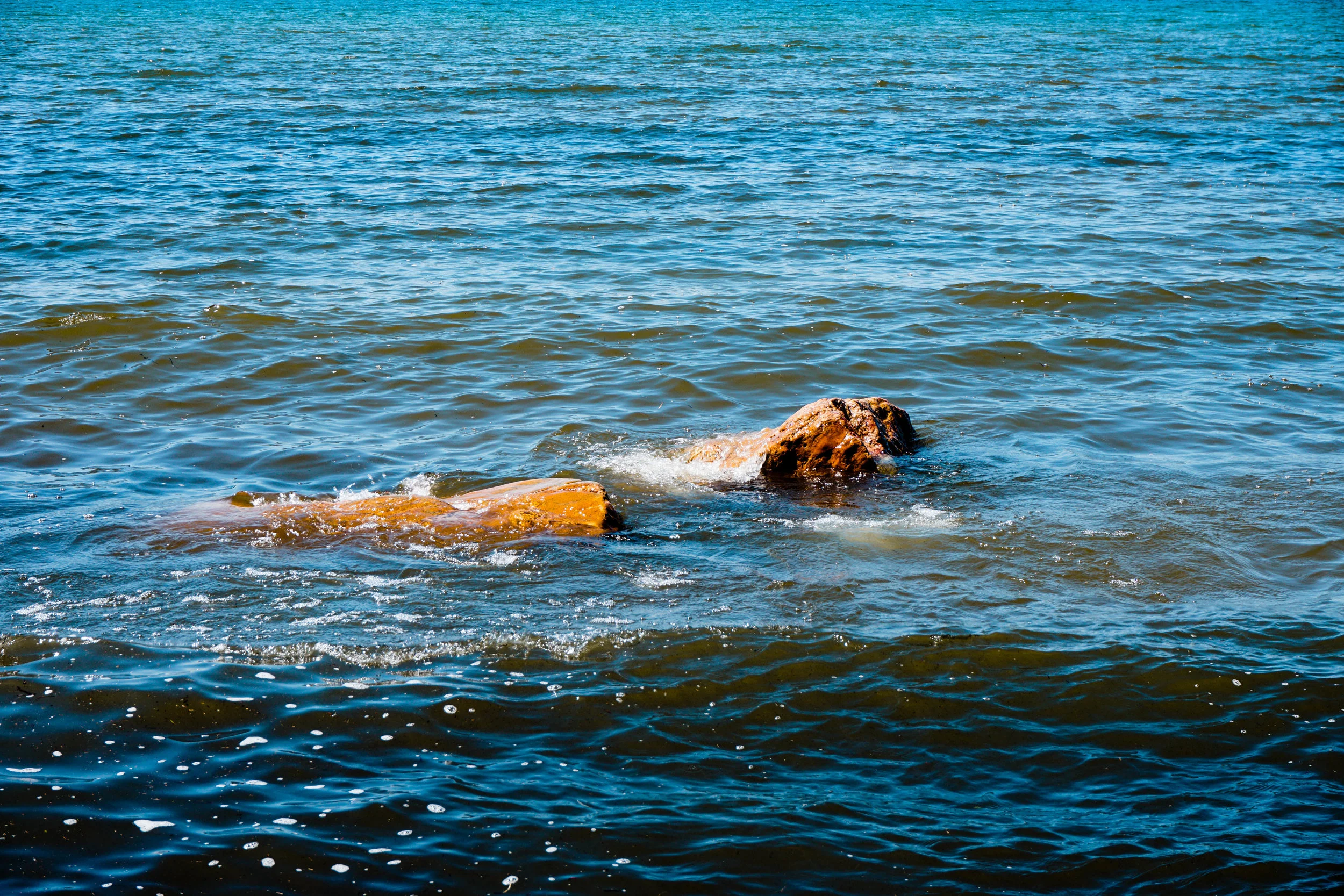 making waves (1 of 1).jpg