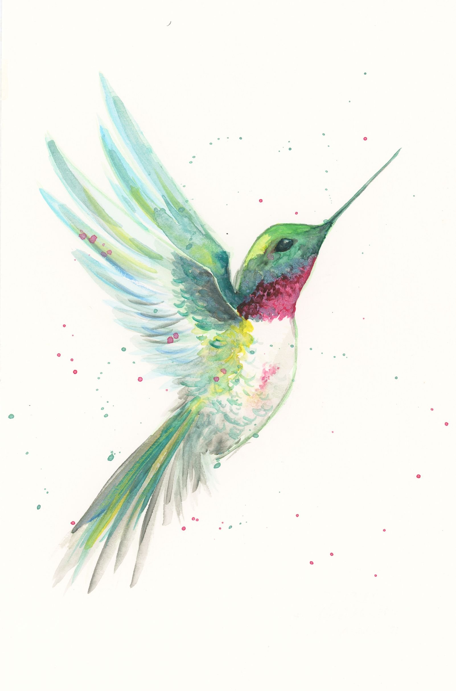 Hummingbird.jpg