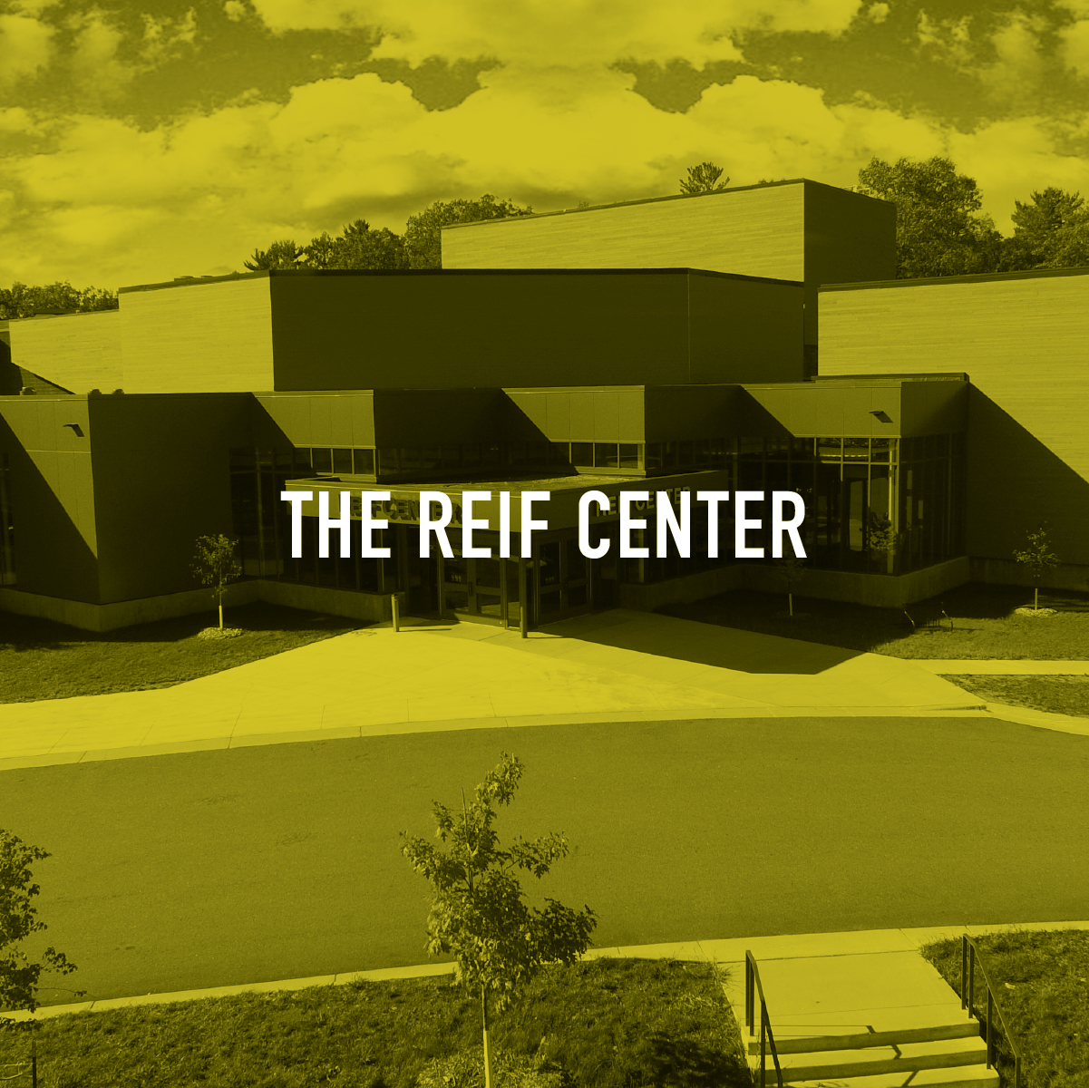 The Reif Center Brand Strategy