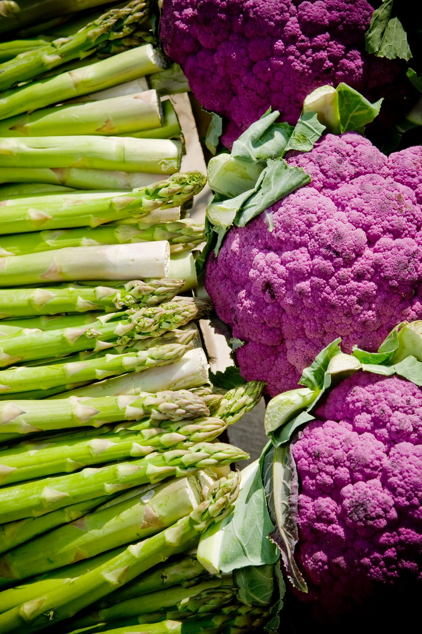 veg.jpeg
