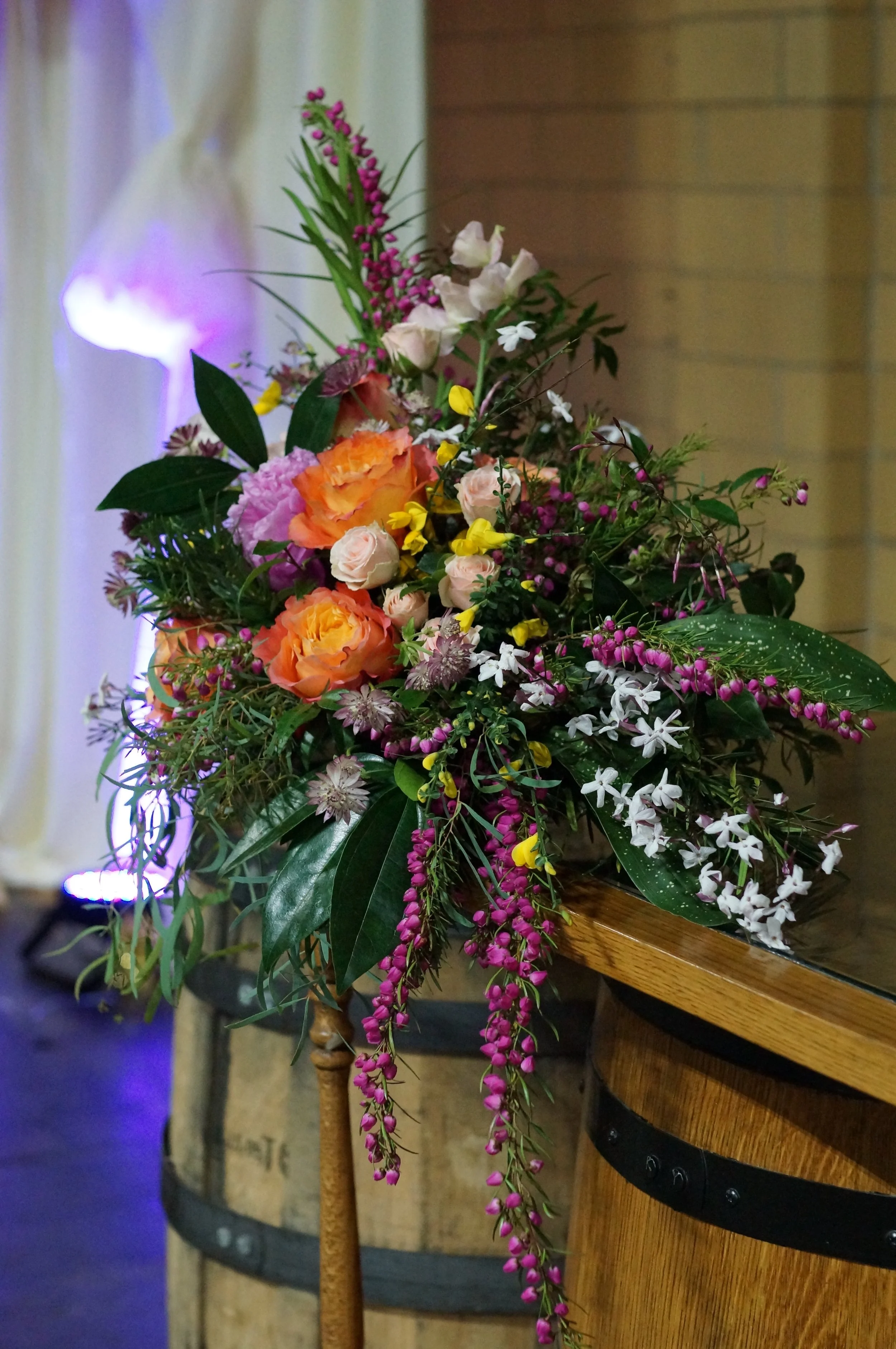 DSC03474.jpg