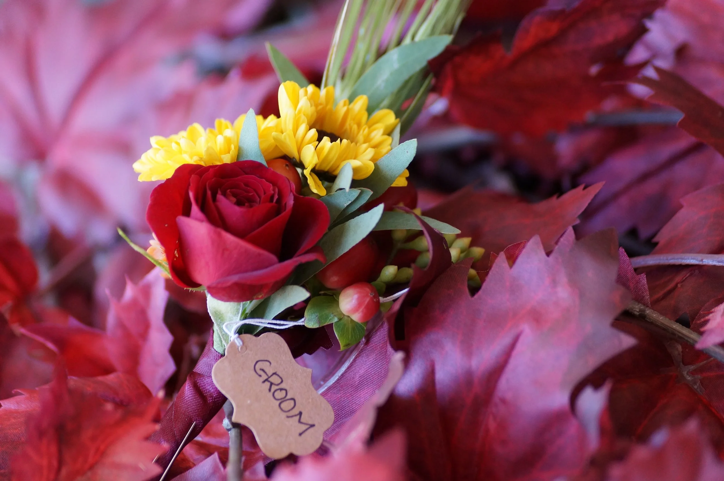 DSC04358.jpg