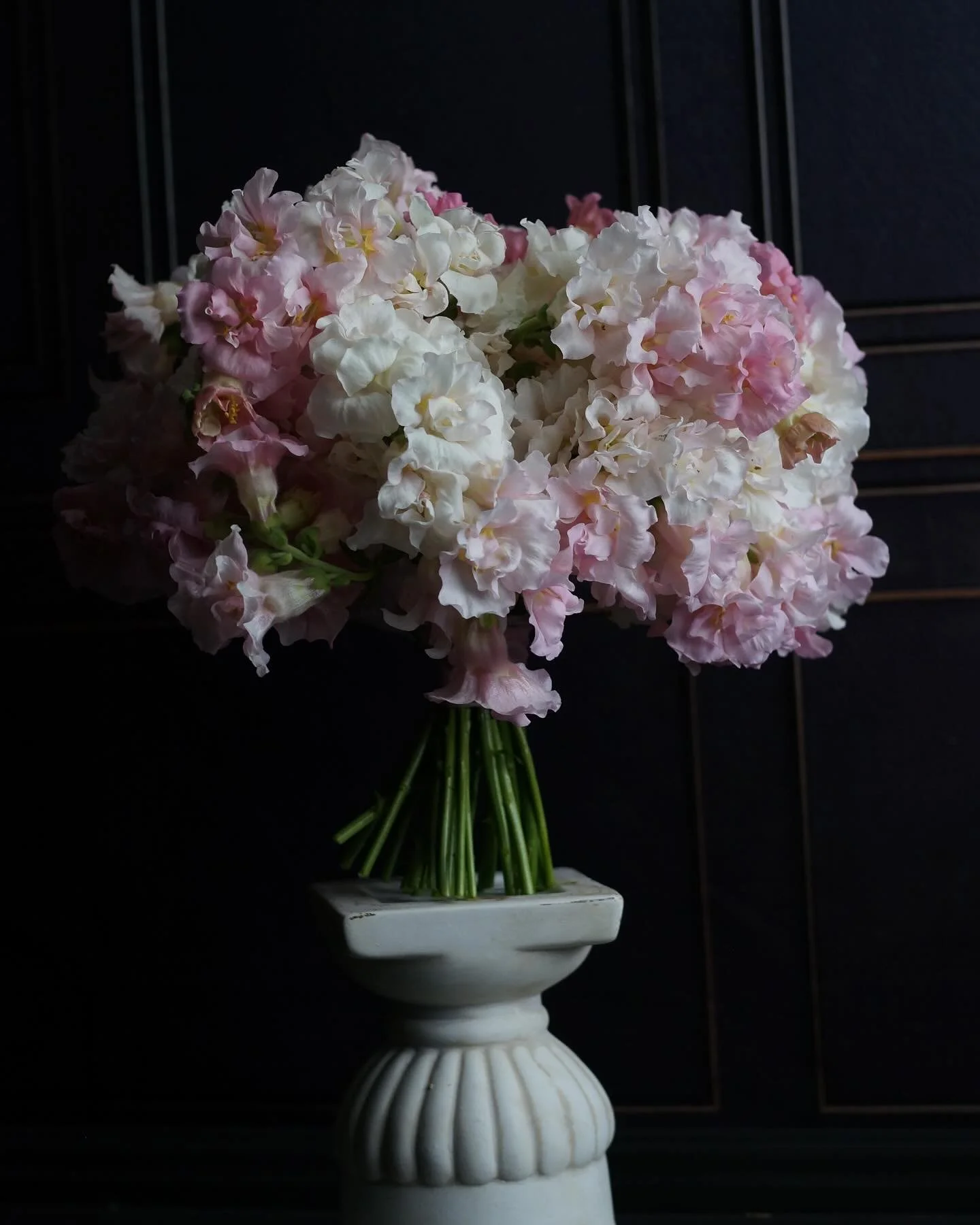 Lush garden style?  Check. 

100% locally grown, sustainably and regeneratively?  Check.

Designed with love and respect for double snapdragons?  Oh hell yes!

Butterfly snaps are the perfect bloom to use of their own, maybe with one or two supportin