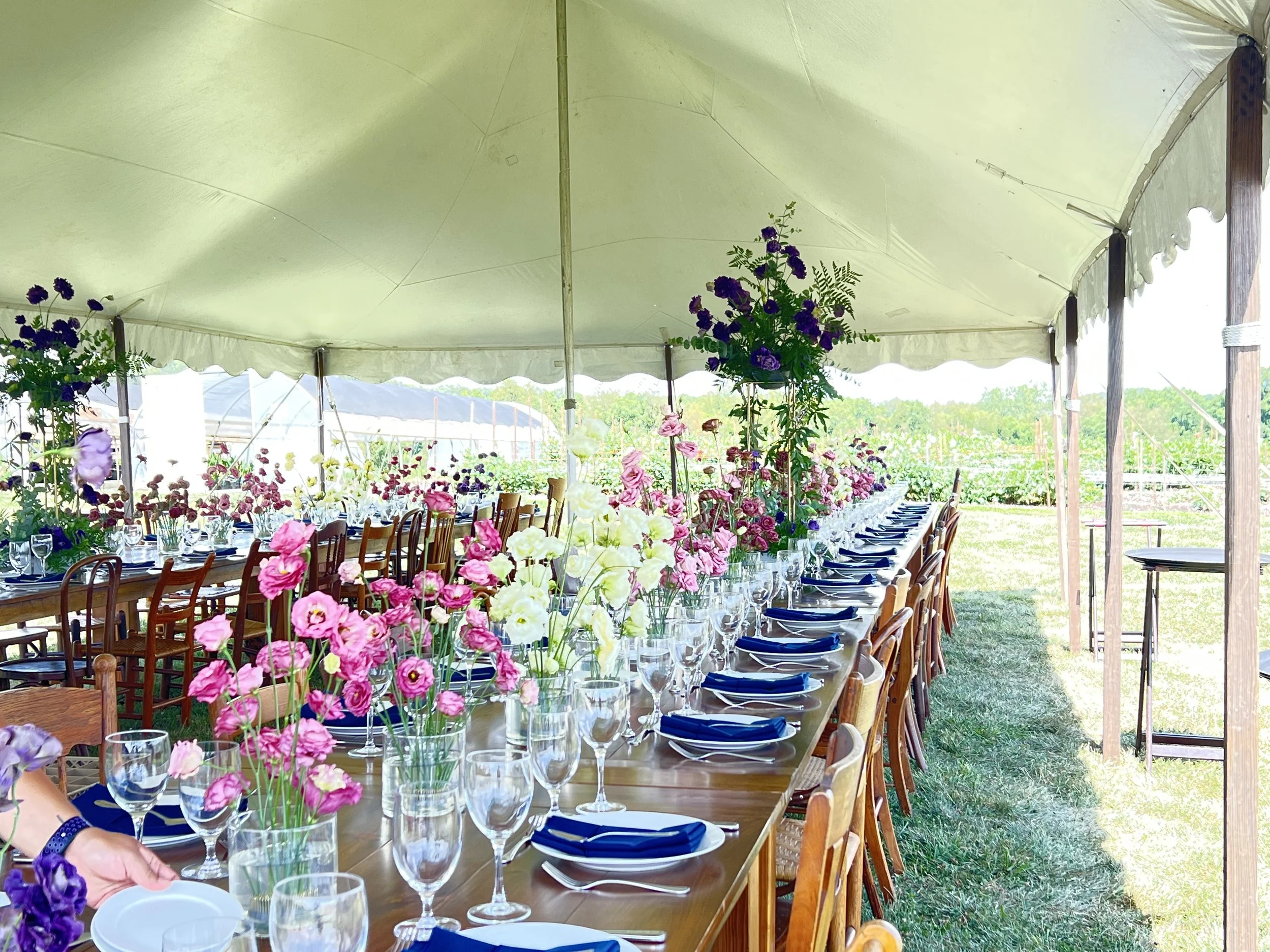 the lisianthus event at harmony harvest.jpeg