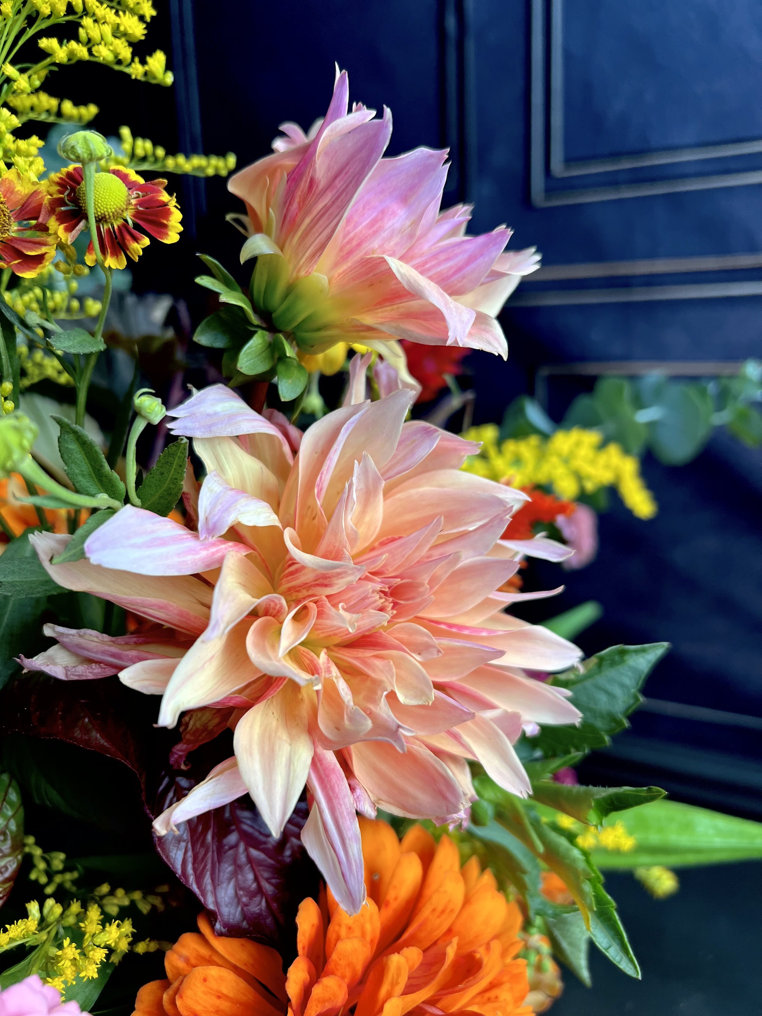 labyrinth dahlia closeup.jpeg