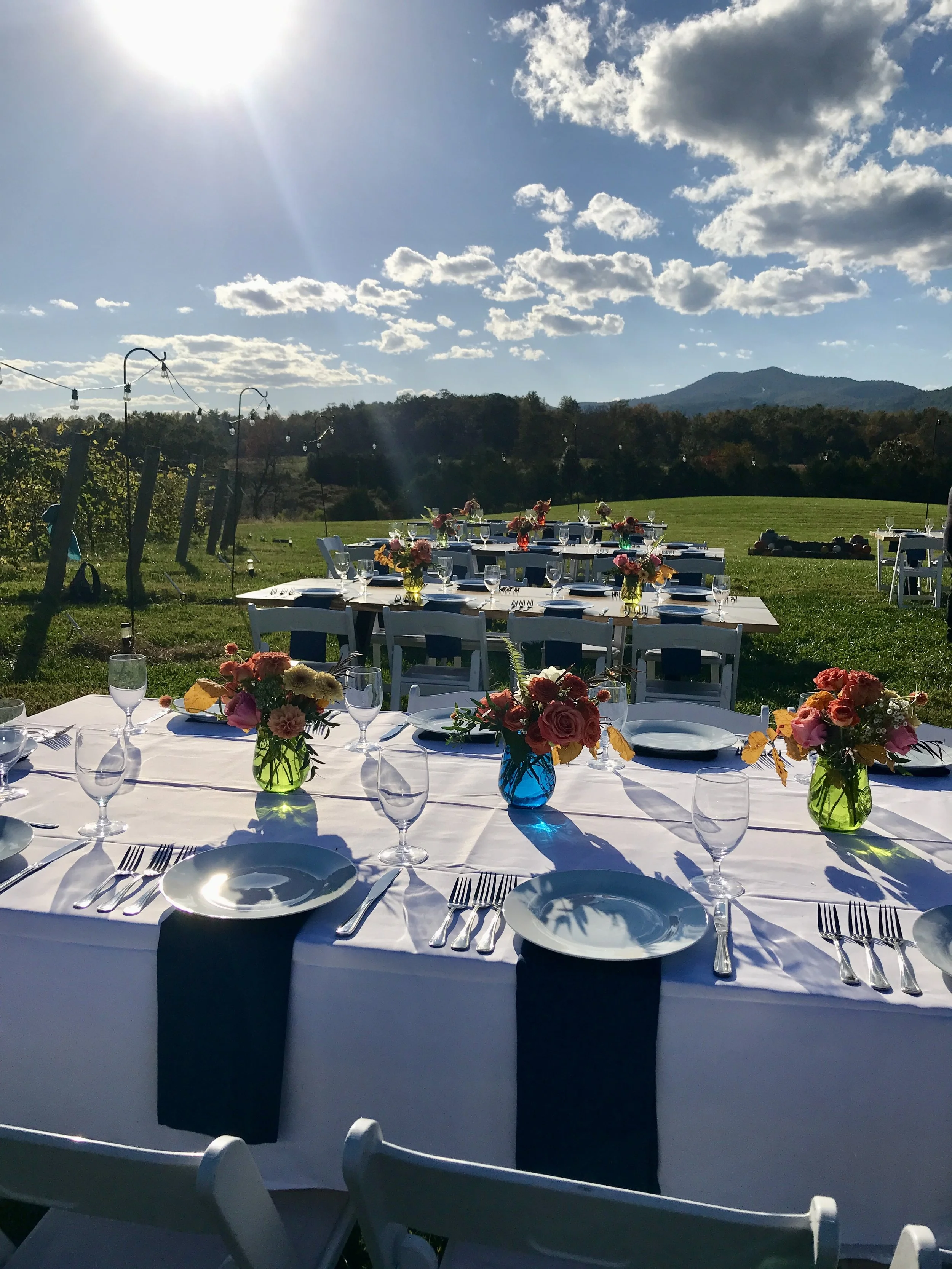 hark vineyard wine dinner.jpeg