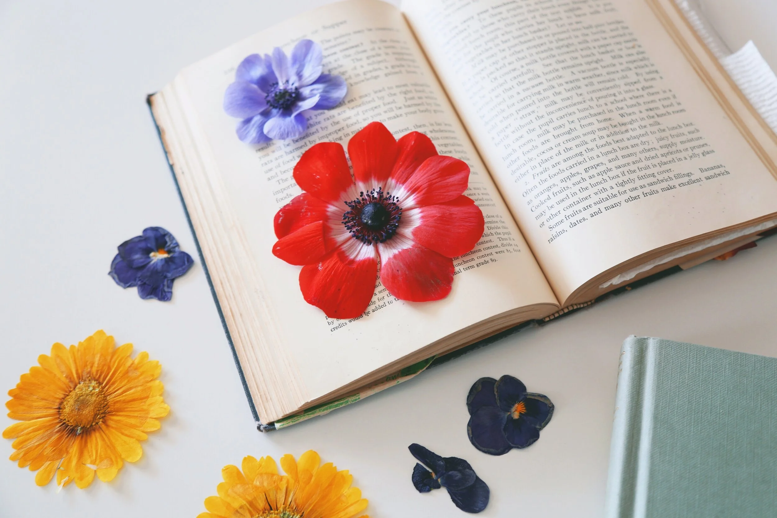 Thursday Crafternoon: Pressed Flowers