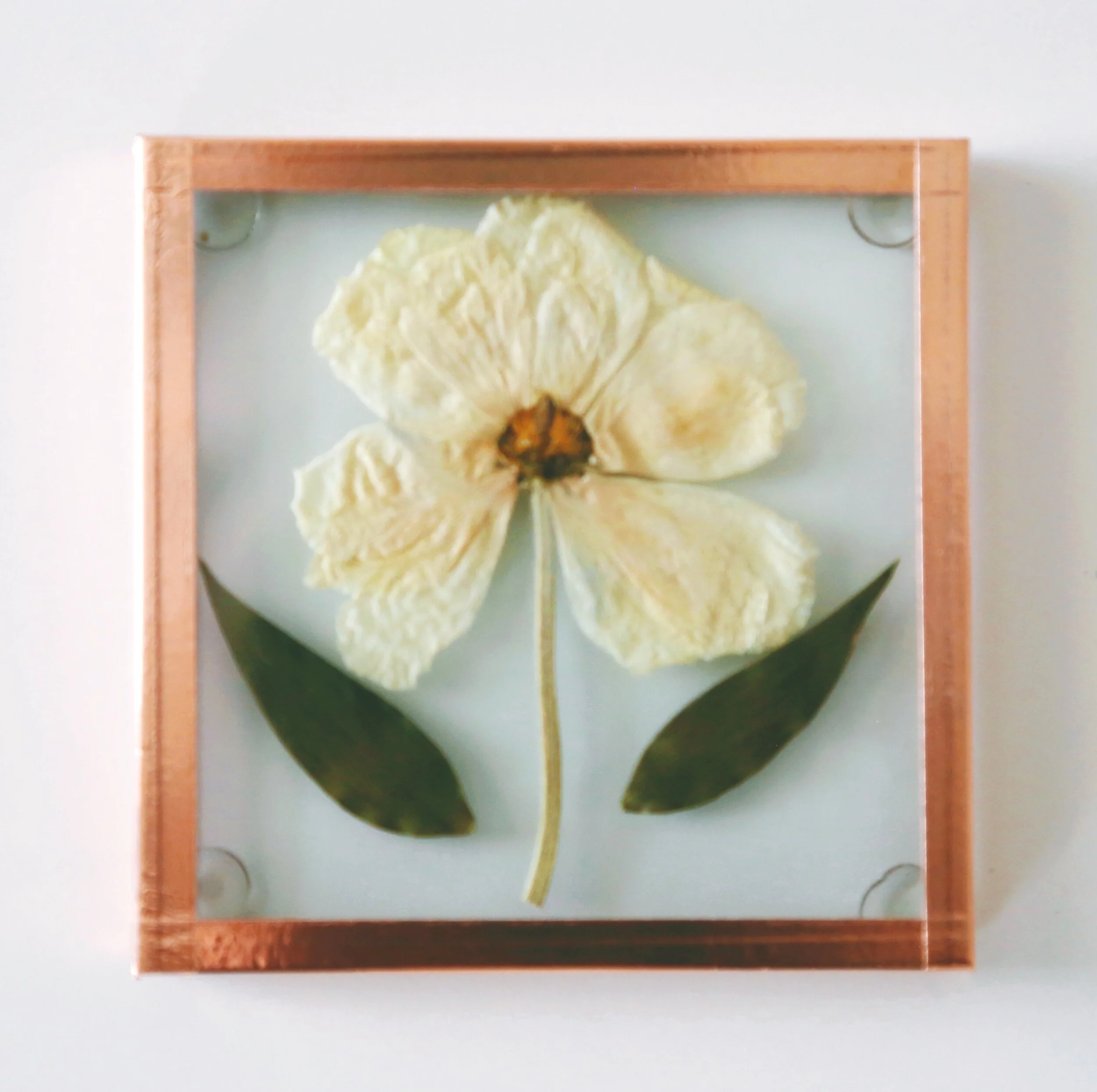 181580F2-A9F1-415D-8557-455A15000818