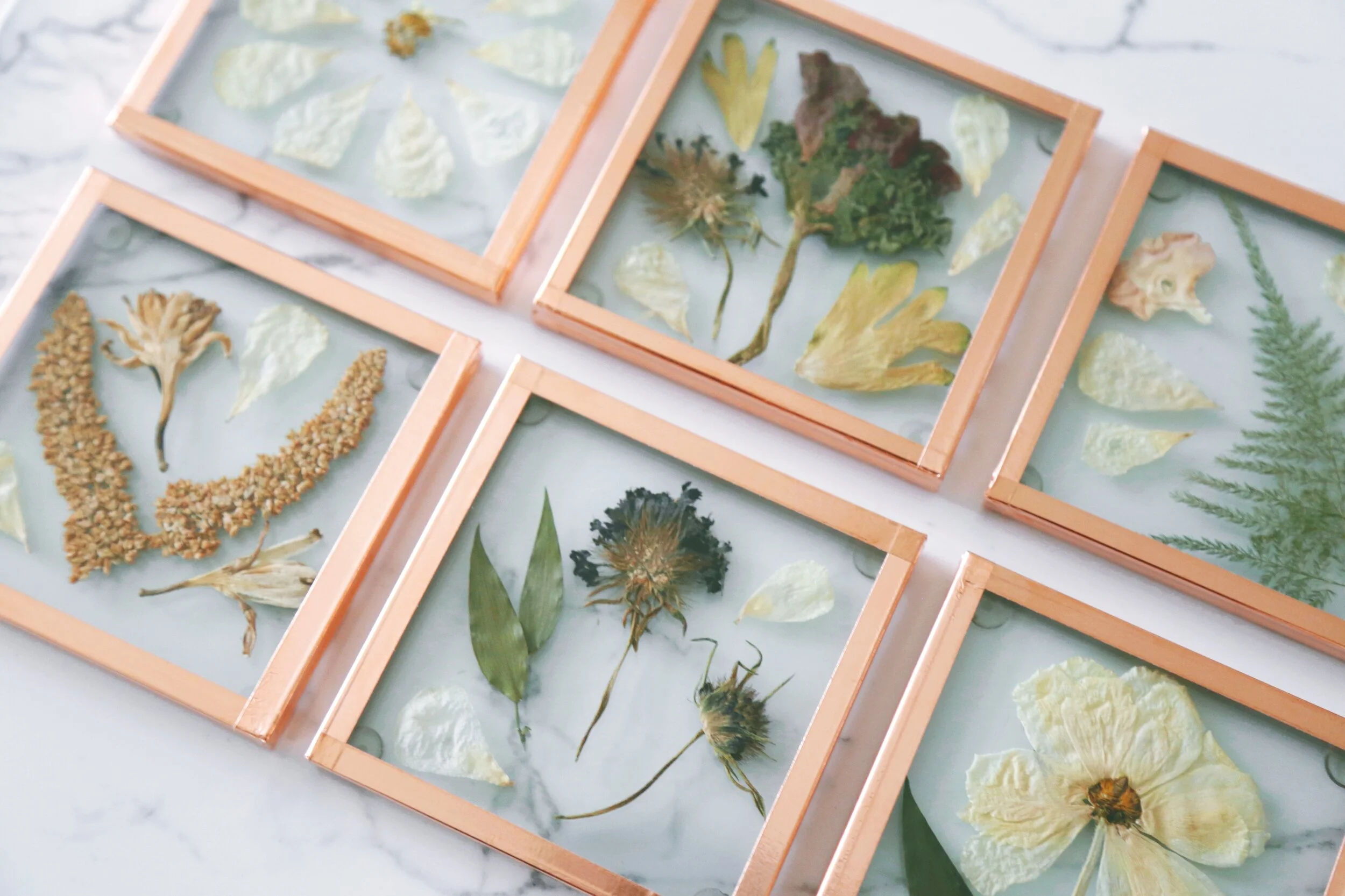 ABD4F149-00F0-46B0-AEAE-71369D8B6A8A