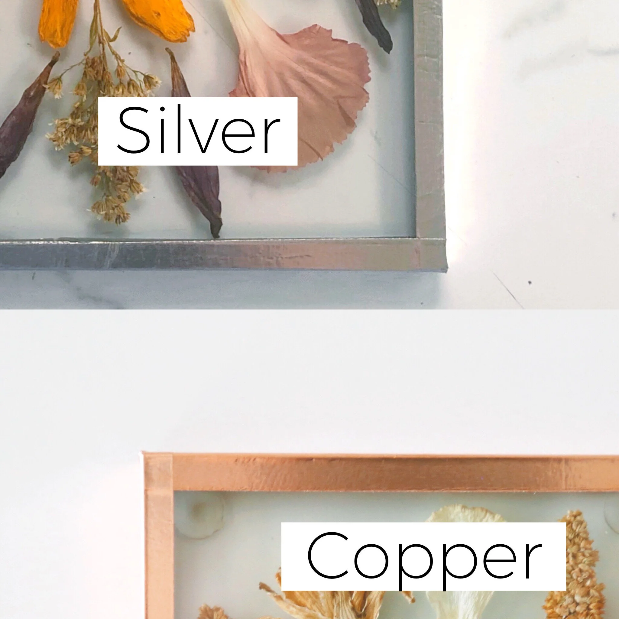 6FC46C20-3CE9-47DE-B133-52904F113412