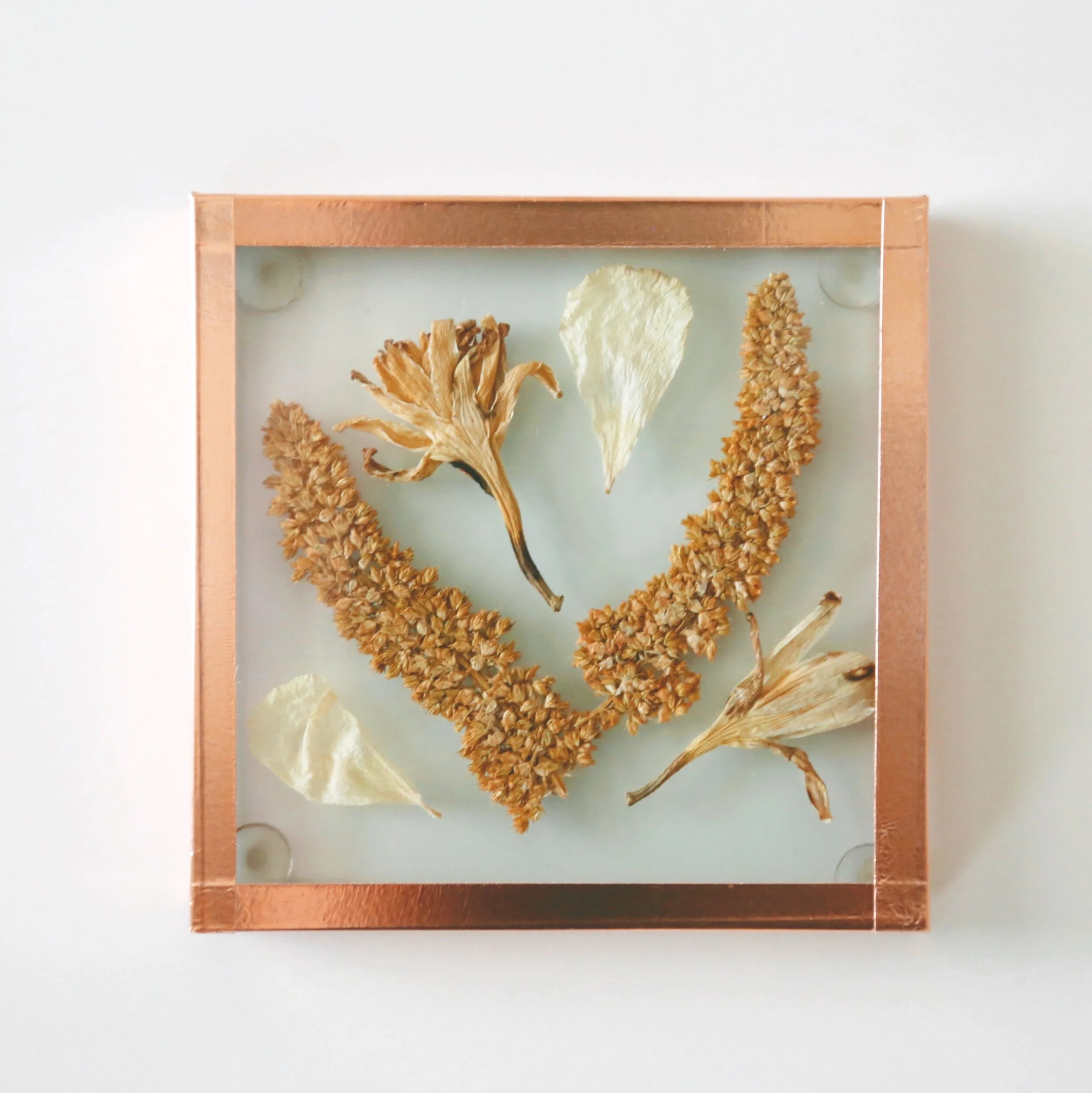 981F160B-BECD-4773-B518-C011D7F531C0