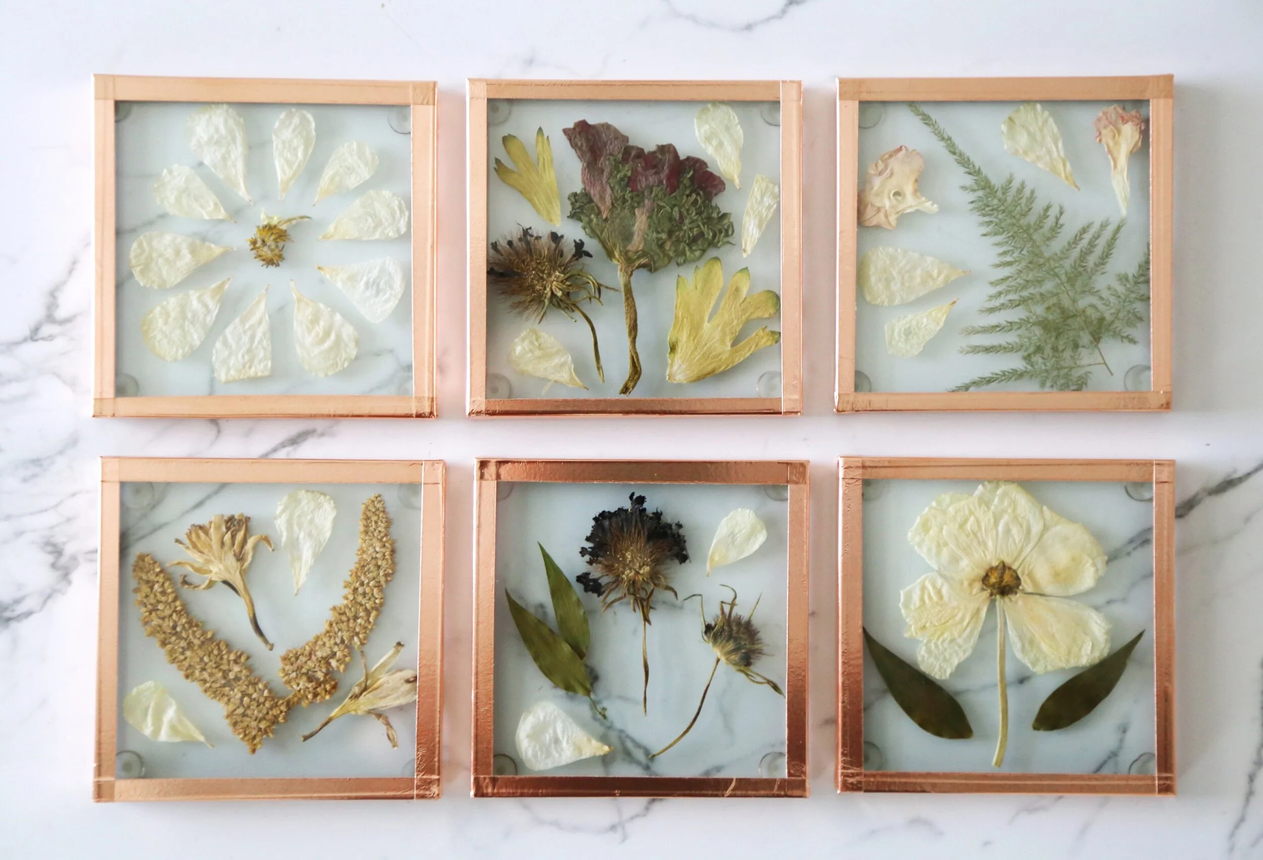 634EFCF3-B60B-4C91-8A89-EC0A73D87145