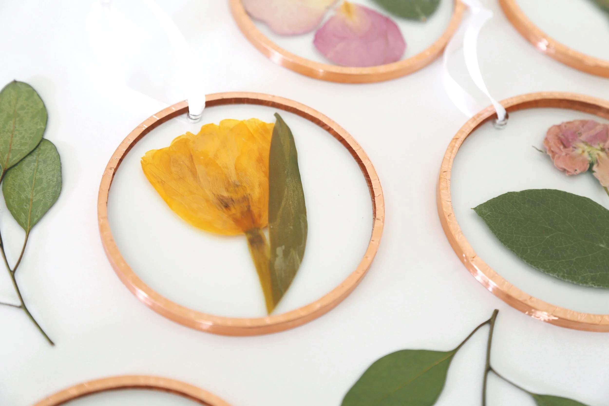 58F7DA48-481C-41F0-8AB8-8082077DADAF