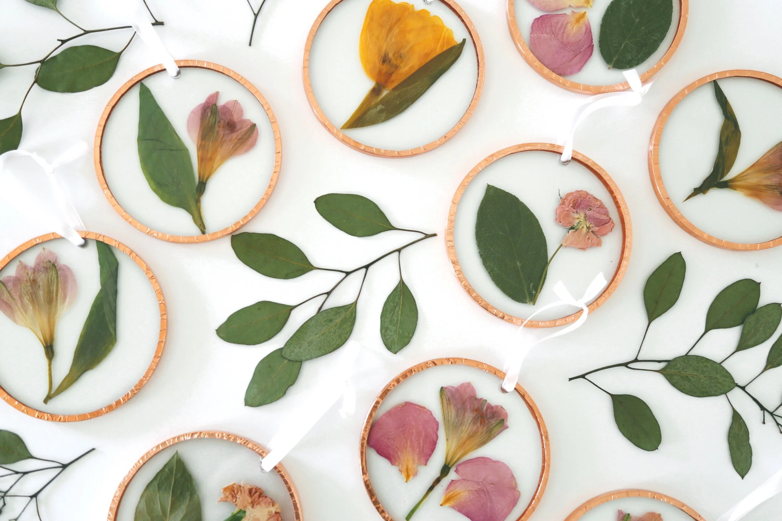 30D8EA48-2FD1-4348-96D9-E2F4B298A016