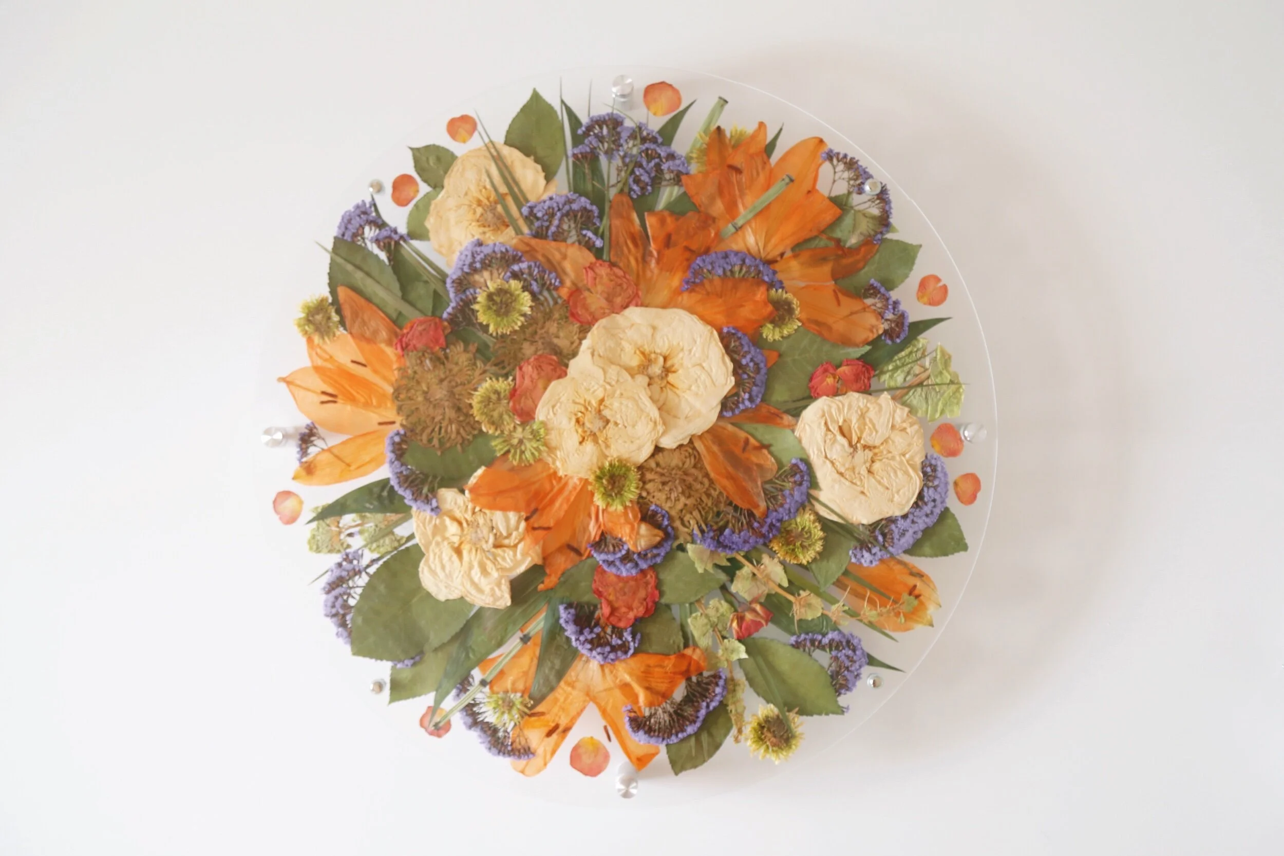 62F586D0-A969-4582-85D5-BCCB372A96C1